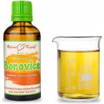 Bylinné kapky Duše rostlin Borovice tinktura 50 ml – Hledejceny.cz