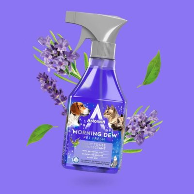Astonish Dezinfekční sprej Morning Dew 550 ml – HobbyKompas.cz