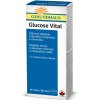 Doplněk stravy na srdce, žílu, krevní oběh Glucose Vital 30 tablet