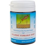 TCM Herbs Svlažení vyprahlé stepi 100 tablet – Hledejceny.cz