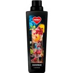 Dedra Avivážní kondicionér ZANZIBAR 750 ml – Zboží Mobilmania