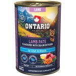 Ontario Adult jehněčí pate s příchutí rakytníku 400 g – Hledejceny.cz