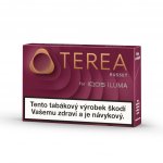 TEREA RUSSET krabička – Zboží Mobilmania