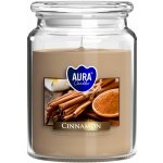 Bispol Aura Maxi Cinnamon 500 g – Zboží Dáma