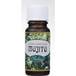 Vonný olej Saloos Mojito 10 ml – Hledejceny.cz