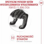 ROYAL CANIN Ageing 11+ Sterilised 0,4 kg – Hledejceny.cz