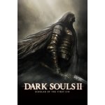 Dark Souls 2: Scholar of the First Sin – Zboží Mobilmania