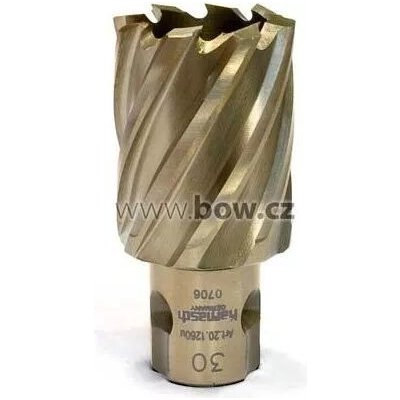 Jádrový vrták Ø 30 mm Karnasch GOLD-LINE 30 38720.1260U30 – Zboží Mobilmania