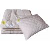 Set přikrývky a polštáře 2G souprava Camel 540g 135x200 70x90