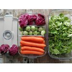 STATUS Tritan vakuová dóza 4,5l 178701 bílá – Zboží Dáma