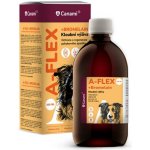 Canami A-Flex +bromelain 500 ml – Hledejceny.cz