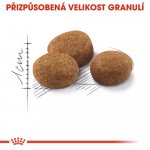 Royal Canin Sterilised 7+ 0,4 kg – Hledejceny.cz