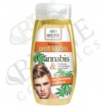 Bione Cosmetics for Men Cannabis Q10 šampon na vlasy proti lupům 250 ml