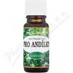 Saloos esenciální olej Pro andílky 10 ml – Zboží Dáma