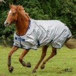 Bucas Deka výběhová Sun Shower stříbrná – Sleviste.cz