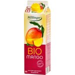 Hollinger Bio Nektar mango 1 l – Zboží Dáma