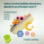 Cetebe Herba 30 tablet – Hledejceny.cz
