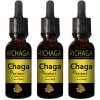 Doplněk stravy na imunitu Richaga Chaga sibiřská extract 90 ml