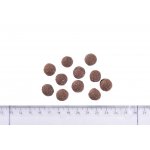 Brit Care Hypoallergenic Adult Medium Breed Lamb 3 kg – Zbozi.Blesk.cz