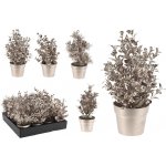 Euro Habitat Květina v květináči 22 cm šampaňská 4 varianty 1ks – Hledejceny.cz