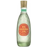 Big Kahuna Pineapple Gin 40% 0,7 l (holá láhev) – Zboží Dáma