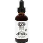 Anima Mundi Cerebrum Brain Adaptogenní tonikum 59 ml – Hledejceny.cz