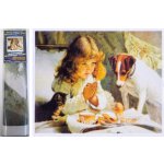 Norimpex Diamantové malování Očekávání 30 x 40 cm – Zbozi.Blesk.cz