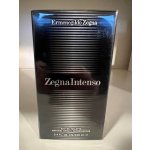 Ermenegildo Zegna Zegna Intenso toaletní voda pánská 100 ml – Hledejceny.cz