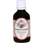 Green idea Ostropestřec tinktura 50 ml – Hledejceny.cz