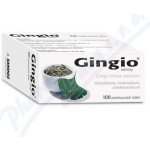 GINGIO POR 40MG TBL FLM 100 – Hledejceny.cz