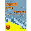 Cvičení k fyzice v kostce pro střední školy - Miroslav Vondra