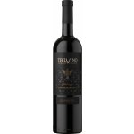 Tbilvino Kindzmarauli červené 2022 11,5% 0,75 l (holá láhev) – Hledejceny.cz