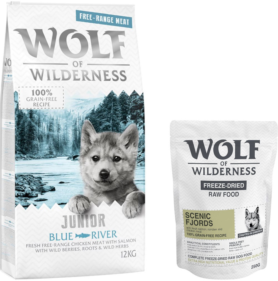 Wolf of Wilderness Junior kuře z volného chovu a losos 12 kg