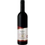 Merlot Vinný dům Bzenec 11,5% 0,75 l (holá láhev) – Hledejceny.cz