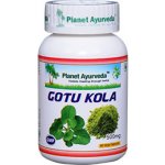 Planet Ayurveda Gotu Kola extrakt 500 mg 60 kapslí – Hledejceny.cz