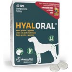 OPKO Health Hyaloral kloubní výživa tbl. 120 tbl. – Zboží Dáma