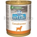 Krmivo pro psa Vet Life Natural Dog Convalescence 300 g