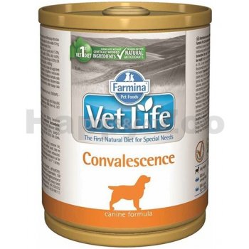 Vet Life Natural Dog Convalescence 300 g