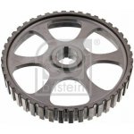 Ozubené kolo, vačkový hřídel FEBI BILSTEIN 25250 – Zboží Mobilmania