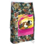 Avicentra Special Morče 1 kg – HobbyKompas.cz