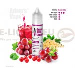 Adams vape Grape Mint Lemonade Shake & Vape 10 ml – Zboží Mobilmania