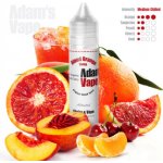 Adams vape Shake & Vape Blood Orange Slush 12 ml – Zboží Dáma