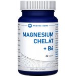 Pharma Activ Magnesium chelát + B6 30 kapslí – Hledejceny.cz