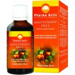 Pharma Activ Czech Rakytníkový olej 50 ml – Hledejceny.cz