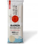 Ayuko Nudle Ramen 300 g – Zbozi.Blesk.cz