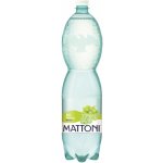 Mattoni ochucená bílé hrozny 6 x 1,5 l – Hledejceny.cz