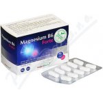 Moje lékárna Magnesium B6 Forte 50+10 tablet – Hledejceny.cz