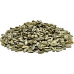 Avicentra Slunečnice žíhaná 25 kg – Zbozi.Blesk.cz