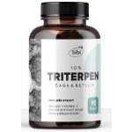 Triterpen 10% extrakt 90 kapslí 500 mg – Hledejceny.cz