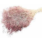 Stabilizovaná mini Gypsophila svazek nostalgia rose 45g – Zboží Dáma